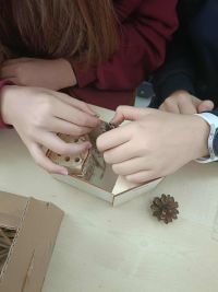 3auczniowie robią domki dla owadów