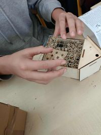 5auczniowie robią domki dla owadów