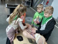 IMG_3123dzieci na wycieczce