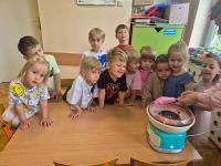 5956d51f-060e-48d0-b3f0-2df1883a7e16dzień dziecka